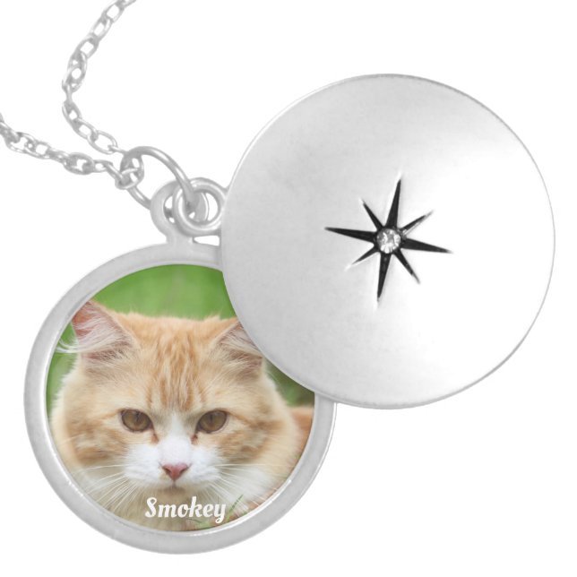 Create Your Own Cat Dog Photo Name Locket Necklace (Front)