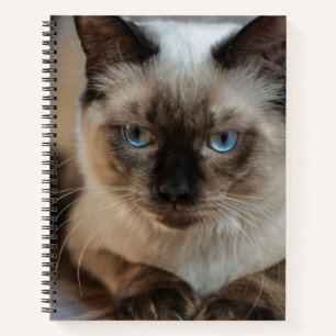 Create Your Own Cat Pet Personalized Photo Notebook