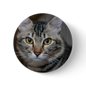 Create Your Own Cat Pet Photo Custom Picture Button