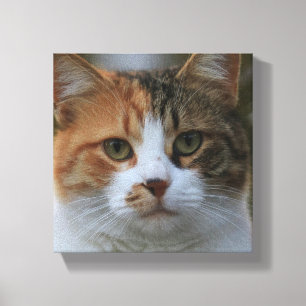 Create Your Own Cat Pet Photo Custom Picture Canvas Print