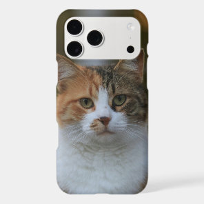Create Your Own Cat Pet Photo Custom Picture iPhone 17 Pro Max Case