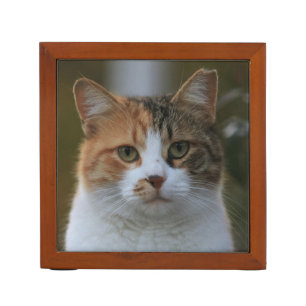 Create Your Own Cat Pet Photo Custom Picture Desk Organizer