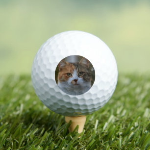 Create Your Own Cat Pet Photo Custom Picture Golf Balls