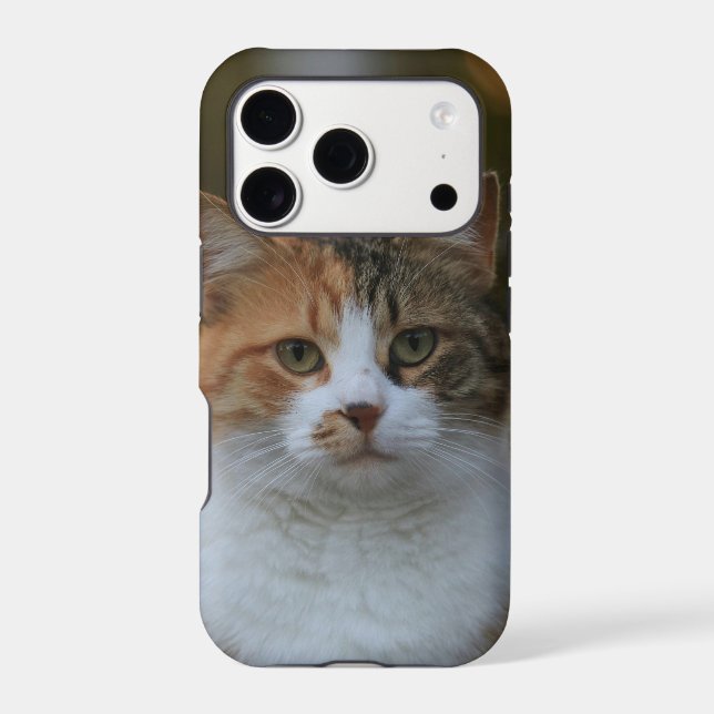 Create Your Own Cat Pet Photo Custom Picture iPhone Case (Back)