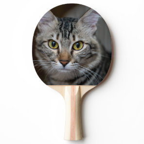 Create Your Own Cat Pet Photo Custom Picture Ping Pong Paddle