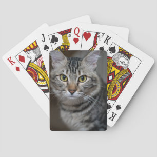Create Your Own Cat Pet Photo Custom Picture Poker Cards
