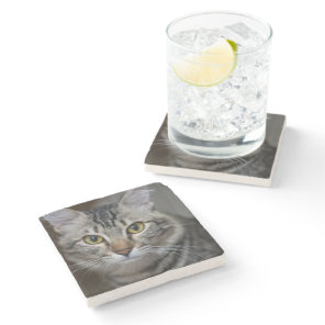 Create Your Own Cat Pet Photo Custom Picture Stone Coaster