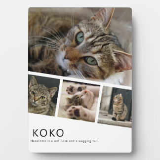 Create Your Own Cat Photo Plaque