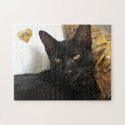 Create your own Cat Puzzle with Gold Heart Text