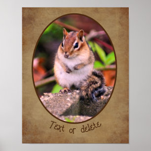 Create Your Own Chipmunk Wildlife Personalized    Poster