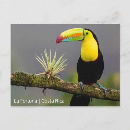 Create Your Own Costa Rica Photo Postcard