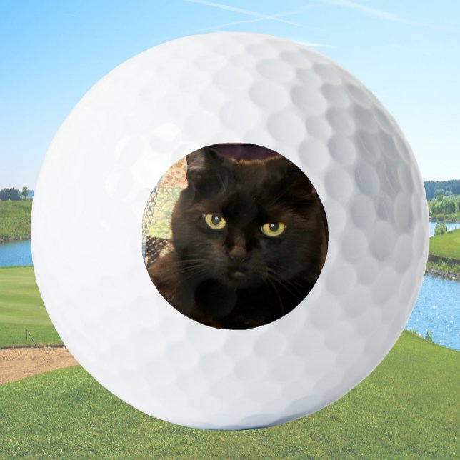 Create Your Own Custom Cat Pet Photo Golf Balls (Creator Uploaded)