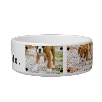 Create Your Own Custom Image & Text Dog Food Bowl by snrklz at Zazzle