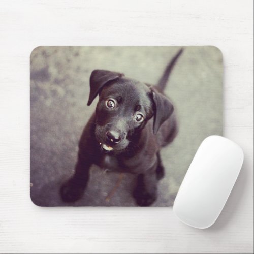 Create Your Own Custom Instagram Photo Mousepad