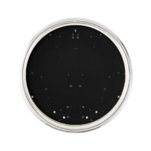 Create Your Own Custom Lapel Pin