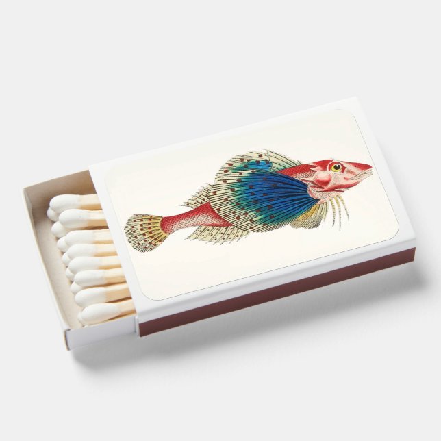 Create Your Own Custom Matchbox Design Matchboxes (Front Open)