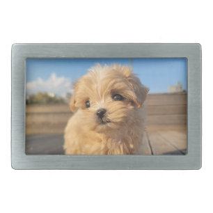 Create Your Own Custom Personalized Blank Template Belt Buckle