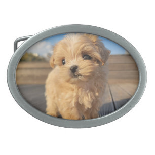 Create Your Own Custom Personalized Blank Template Belt Buckle