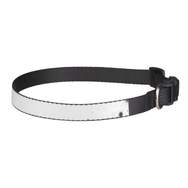 Create Your Own Custom Personalized Pet Collar (Right)