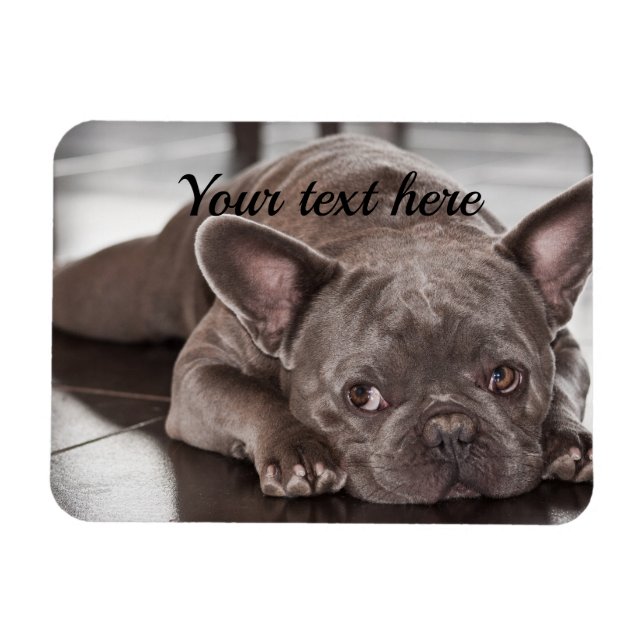 Create Your Own Custom Pet Dog Refrigerator Magnet (Horizontal)