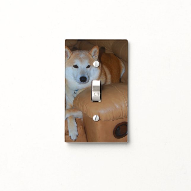 Create Your Own Custom Pet Light Switch Cover (In Situ)
