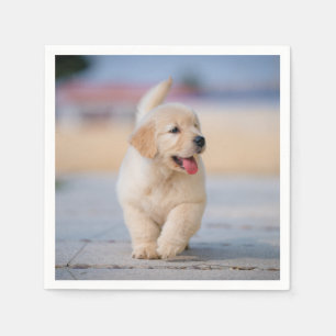 Create your own custom pet napkins