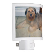 Create Your Own Custom Pet Night Light (Right)