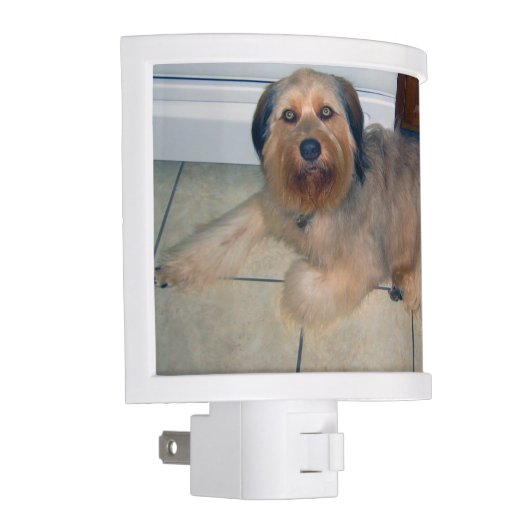 Create Your Own Custom Pet Night Light (Right)