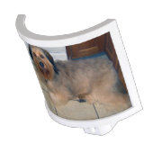 Create Your Own Custom Pet Night Light (Angled)