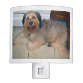 Create Your Own Custom Pet Night Light (Front)