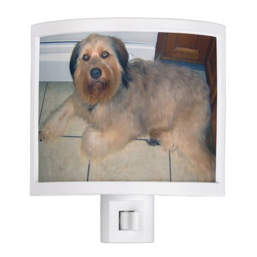 Create Your Own Custom Pet Night Light (Front)