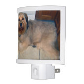 Create Your Own Custom Pet Night Light (Left)