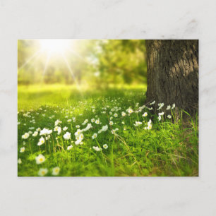 Create Your Own Custom Photo Personalized Postcard