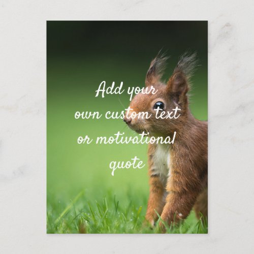 Create Your Own Custom Quote _ Squirrel Postcard