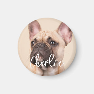 Create Your Own Custom Script Name Pet Photo Magnet