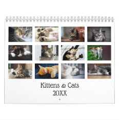 Create Your Own Cute Cats Kittens 2024 Pet Photo Calendar at Zazzle