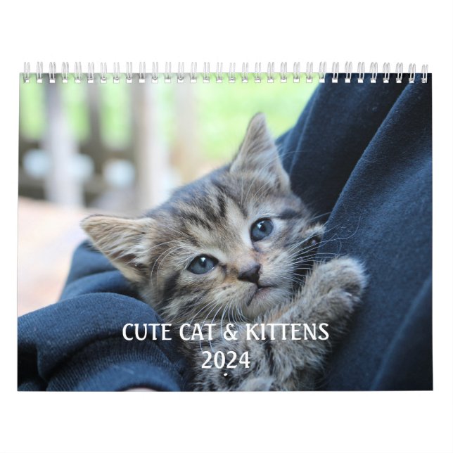 Create Your Own Cute Funny Cat Pet Photo Calendar (Cover)