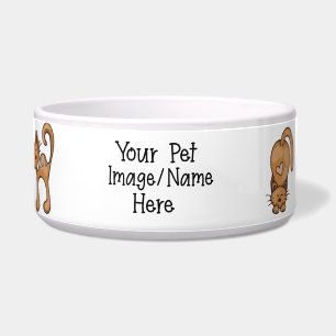 Create Your Own Decorated Cat Food Bowl Gift Idea