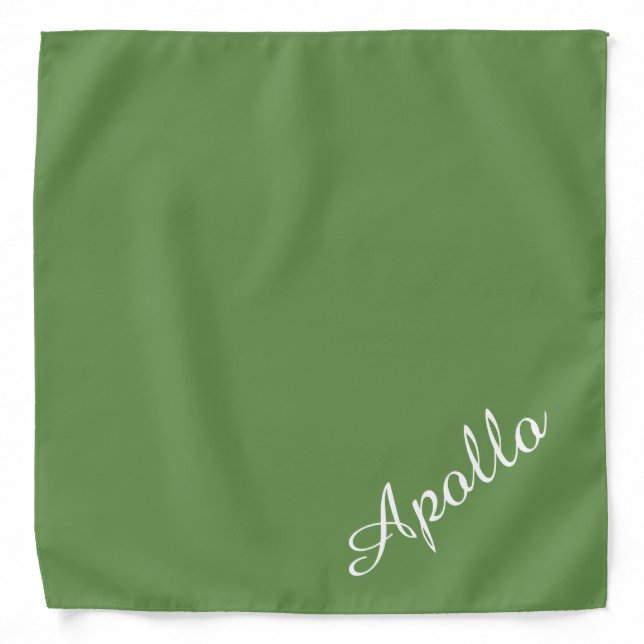 Create Your Own Dog Bandana (Front)