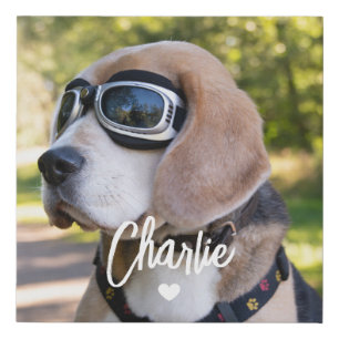 Create Your Own Dog Name Photo Faux Canvas Print