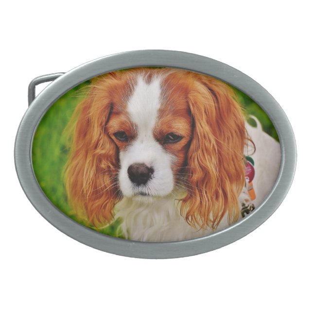 Create Your Own Dog Pet Photo Belt Buckle (Front)