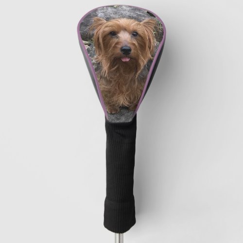 Create Your Own Dog Photo Custom Pet Light Blue Go Golf Head Cover