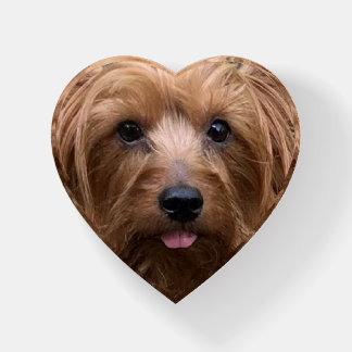 Create Your Own Dog Photo Custom Pet Paperweight