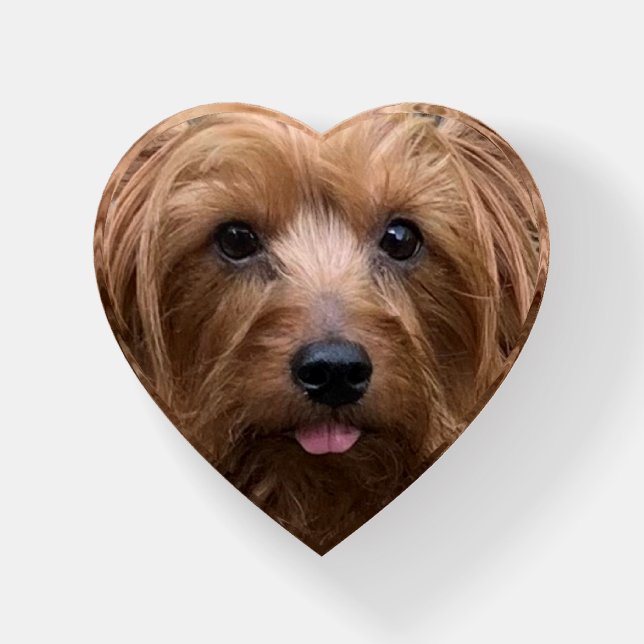 Create Your Own Dog Photo Custom Pet Paperweight (Front)