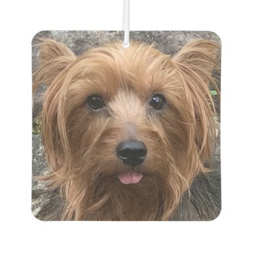 Create Your Own Dog Photo Custom Pet Puppy  Air Freshener