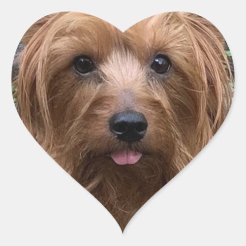 Create Your Own Dog Photo Custom Pet Puppy  Heart Sticker