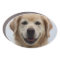 Create Your Own Dog Puppy  Photo