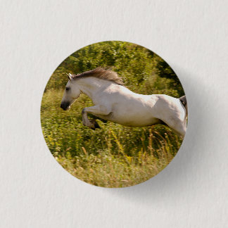 Create Your Own Equestrian Horse Photo Custom Button