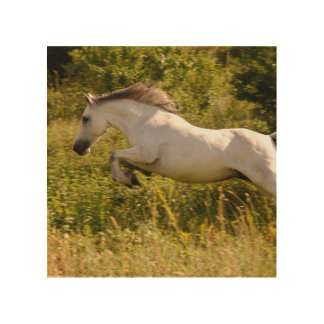 Create Your Own Equestrian Horse Photo Custom Wood Wall Art