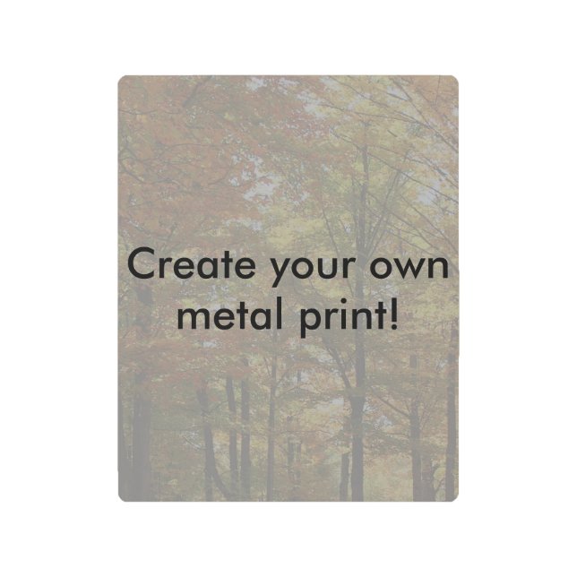 Create Your Own Eye Catching Memorable Metal Print (Front)